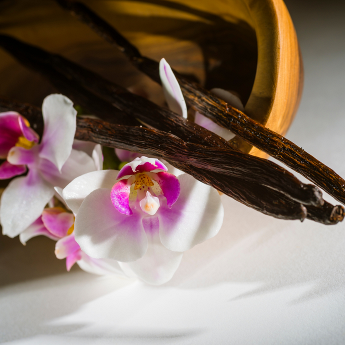 Vanilla: A Spice Derived From Orchids?