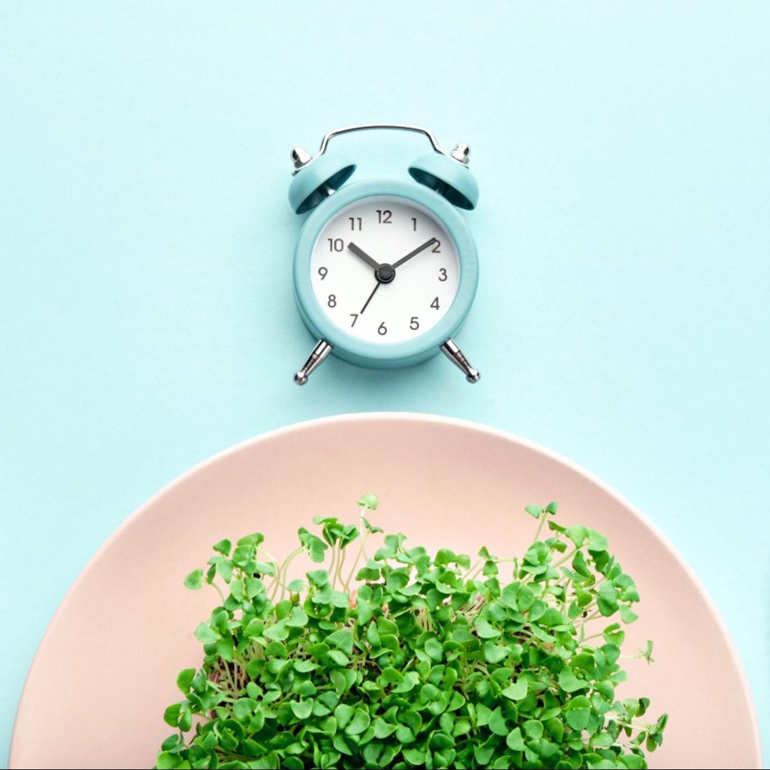 How herbal teas can help intermittent fasting